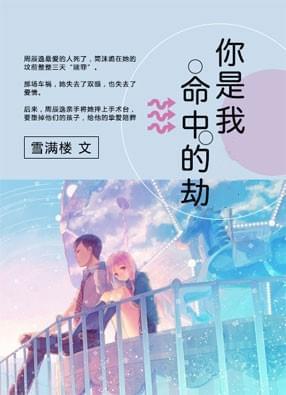 你是我命中的劫数歌词