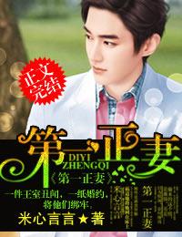 都市龙医林凡轩雨妃原著