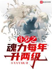 斗罗之魂力每年升两级 百度