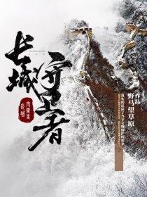 长城守卫军系列皮肤