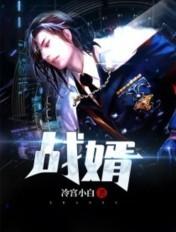 战婿海彤全文免费阅读