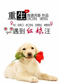 90后重生做红娘