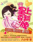 萌妃当道冷酷王爷的攻妻谋略