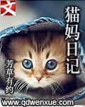 母猫日记