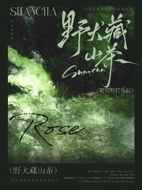 野山茶不适宜人群