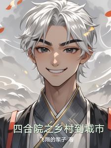 四合院之乡村到城市飞翔的哈哈全文免费阅读