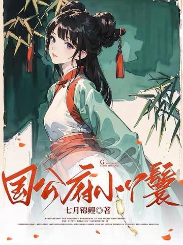 国公府小丫鬟TXT