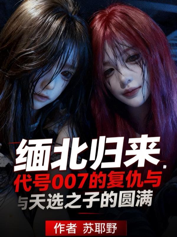 缅北回国专案组