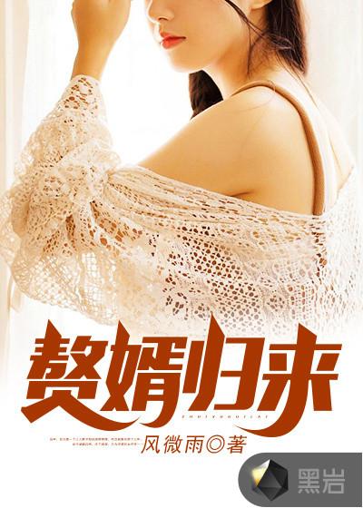 赘婿归来叶峰免费阅读