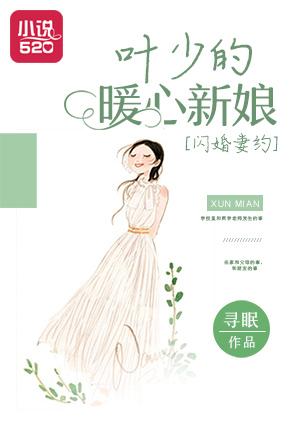 闪婚蜜宠叶少