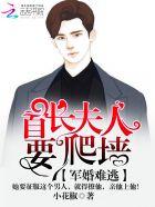 宠你入骨穆少的大牌娇妻免费阅读