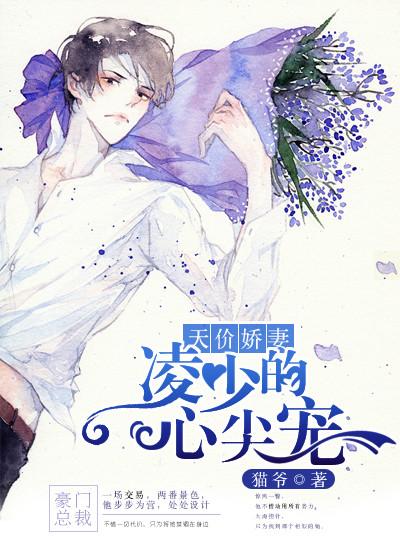 天价总裁凌少别太坏