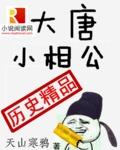 大唐小相公郑子文无弹窗