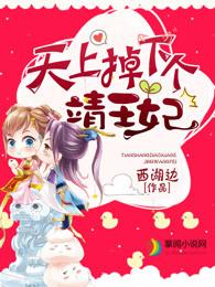 天上掉下个靖王妃大结局