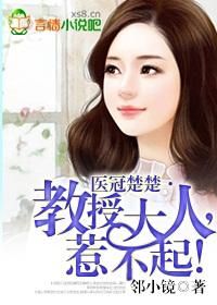 医冠楚楚教授大人惹不起未删减