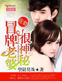 冒牌娇妻第十三集