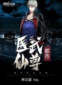 都市医武仙尊等级划分