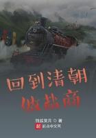 穿越清朝做盐商