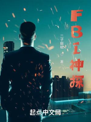 fbi神探精校版