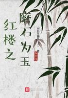 红楼之磨石为玉TXT