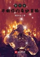 dⅰo不懒惰的奇妙冒险