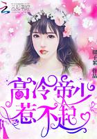 高冷帝少惹不起简介