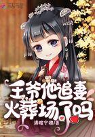 王爷他追妻火葬场了吗双男主