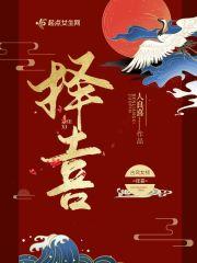 择喜西拉309A属于什么档次