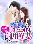 婚内试爱:BOSS花式宠妻